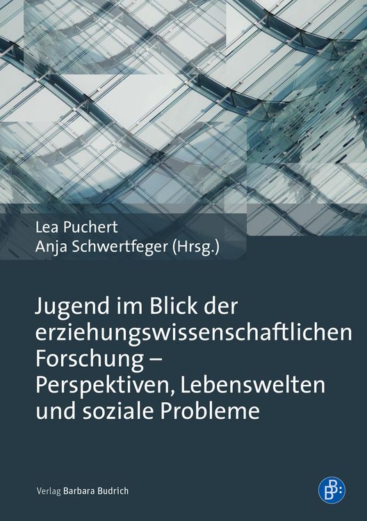 Produktbild: Jugend im Blick der erziehungswissenschaftlichen Forschung - Perspektiven, Lebenswelten und soziale Probleme