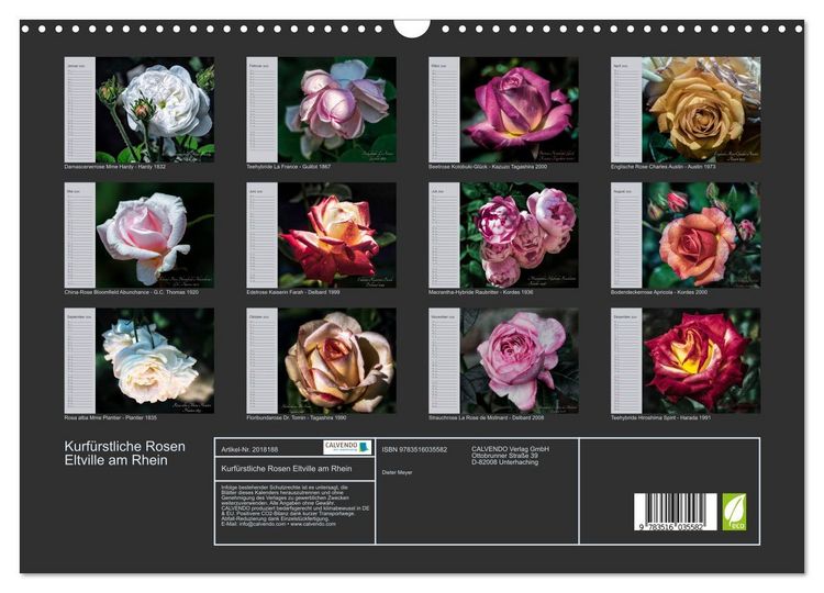 Produktbild: Kurf&uuml;rstliche Rosen Eltville am Rhein (Wandkalender 2026 DIN A3 quer), CALVENDO Monatskalender