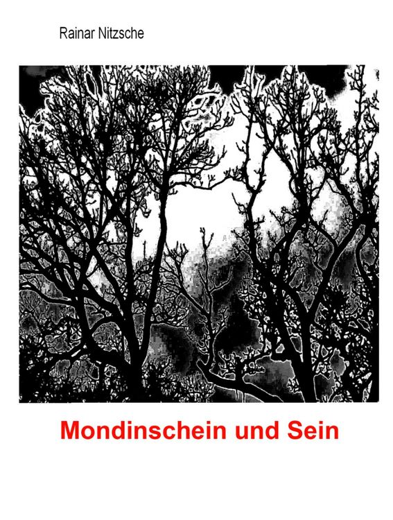 Produktbild: Mondinschein und Sein