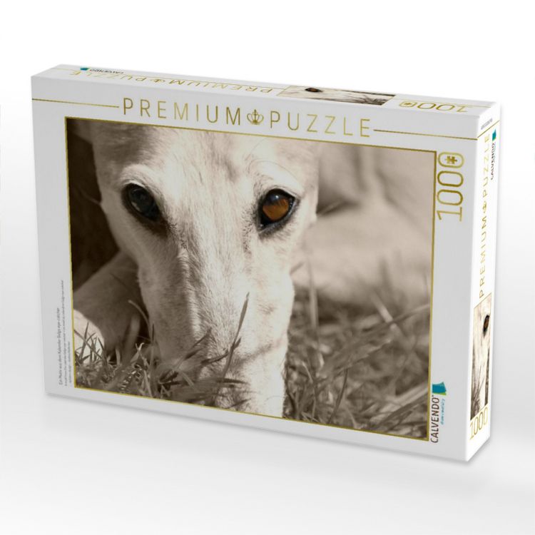 Produktbild: CALVENDO Puzzle Ein Motiv aus dem Kalender Galgo eye-catcher | 1000 Teile Lege-Gr&ouml;&szlig;e 64x48cm Foto-Puzzle f&uuml;r gl&uuml;ckliche Stunden