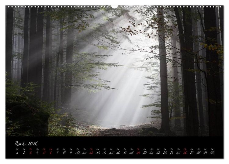 Produktbild: Bayerischer Wald (hochwertiger Premium Wandkalender 2026 DIN A2 quer), Kunstdruck in Hochglanz
