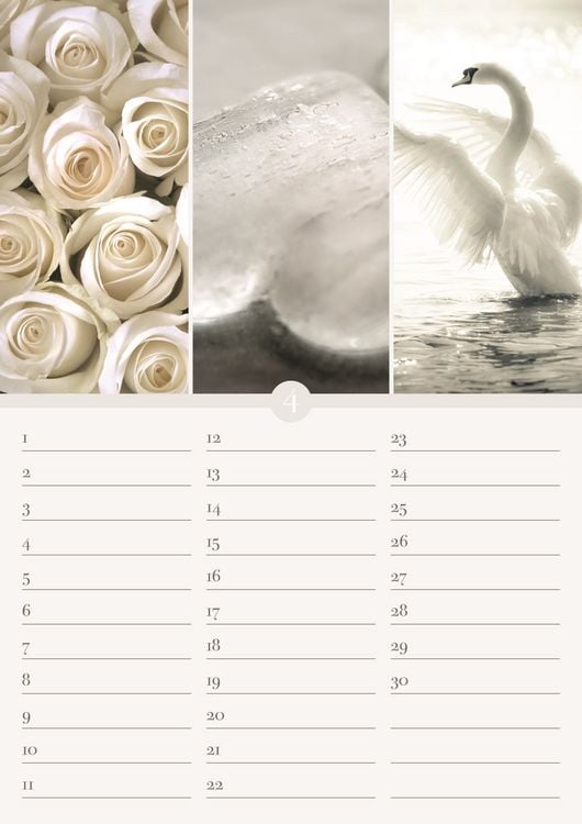 Produktbild: Geburtstagskalender Harmonie & Farbe - immerw&auml;hrend - (21 x 30)