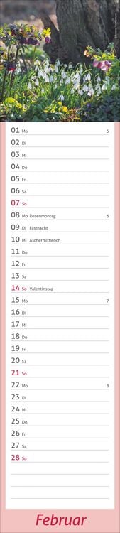 Produktbild: times&more Garten Langplaner 2027
