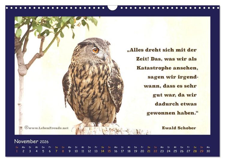 Produktbild: Bewusst leben und gl&uuml;cklich sein (Wandkalender 2026 DIN A3 quer), CALVENDO Monatskalender