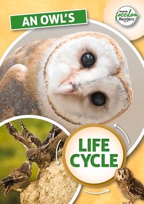 Produktbild: An Owl's Life Cycle