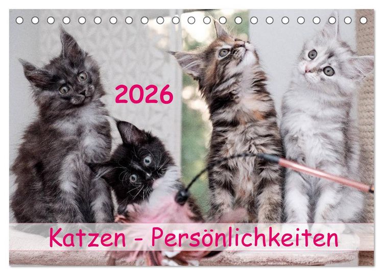 Produktbild: Katzen Pers&ouml;nlichkeiten 2026 (Tischkalender 2026 DIN A5 quer), CALVENDO Monatskalender