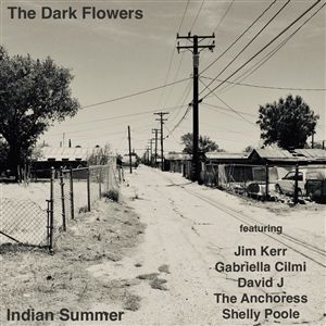 Produktbild: Indian Summer (Clear Vinyl)