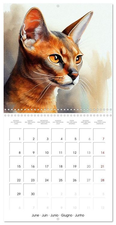 Produktbild: Cat Breeds in Watercolor (Wall Calendar 2026 12 &times; 12 Inch) CALVENDO 12 Month Wall Calendar