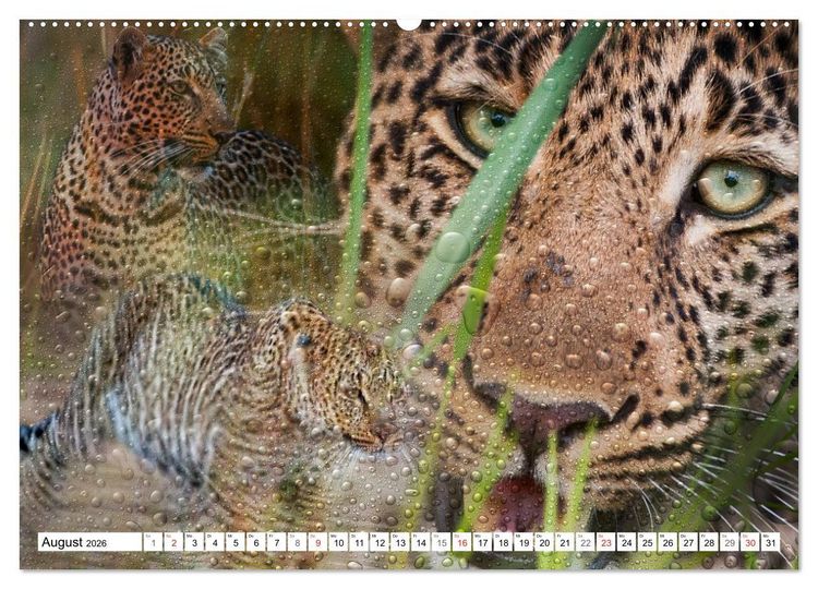 Produktbild: Emotionale Momente: African Dreams (hochwertiger Premium Wandkalender 2026 DIN A2 quer), Kunstdruck in Hochglanz