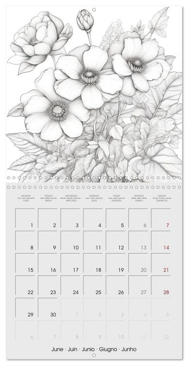 Produktbild: Le monde v&eacute;g&eacute;tal (Calendrier mural carr&eacute; 2026 30x30 cm) Calendrier double avec une page pour vos prises de notes