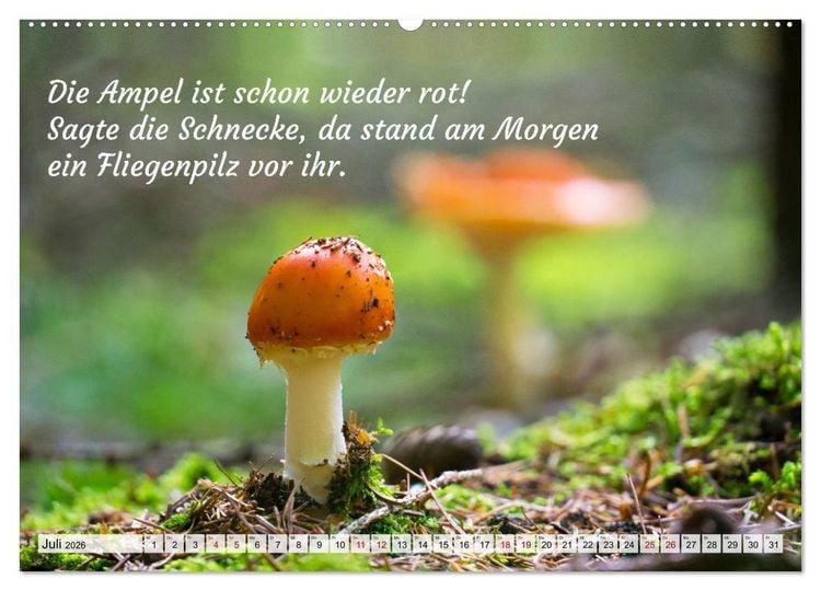Produktbild: Junge, was hast du`s eilig (Wandkalender 2026 DIN A2 quer), CALVENDO Monatskalender