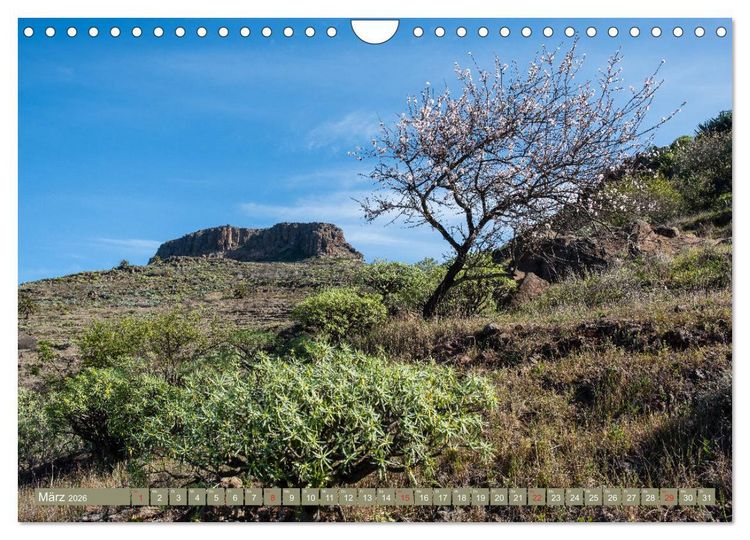 Produktbild: La Gomera - Vielseitige Insel (Wandkalender 2026 DIN A4 quer), CALVENDO Monatskalender