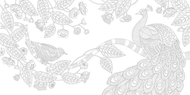 Produktbild: Millie Marotta's Animal Adventures