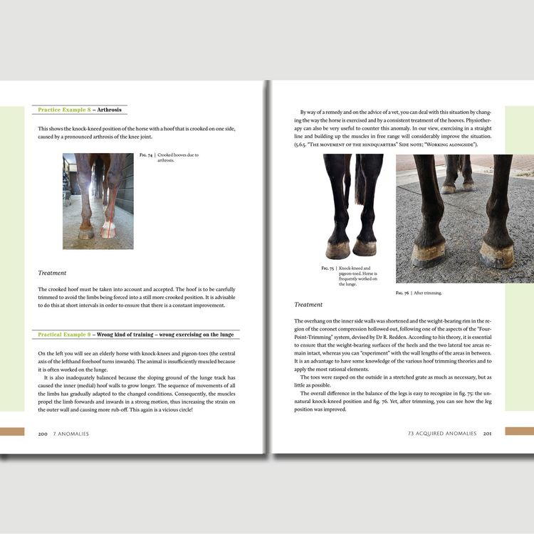Produktbild: Hoofwork