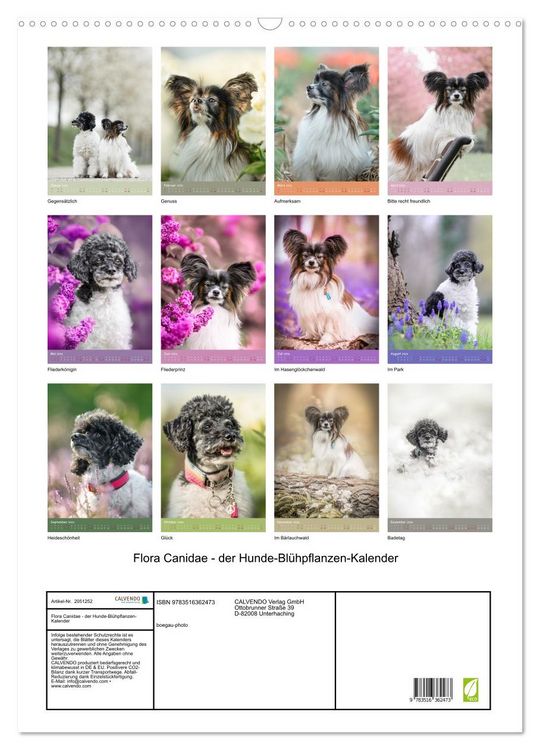 Produktbild: Flora Canidae - der Hunde-Bl&uuml;hpflanzen-Kalender (Wandkalender 2026 DIN A2 hoch), CALVENDO Monatskalender