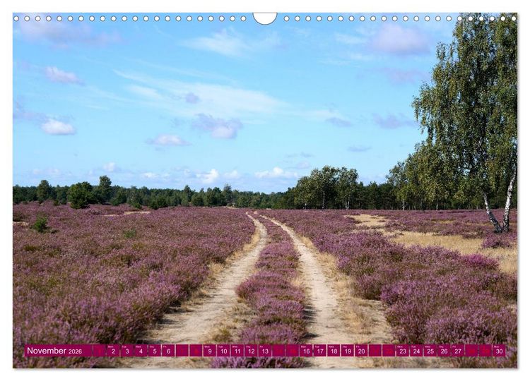 Produktbild: Just lovely - the power of pink heather blossom beauty (Wall Calendar 2026 DIN A3 landscape), CALVENDO 12 Month Wall Calendar
