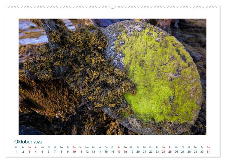 Produktbild: Faszination Schiffsfriedhof (hochwertiger Premium Wandkalender 2026 DIN A2 quer), Kunstdruck in Hochglanz
