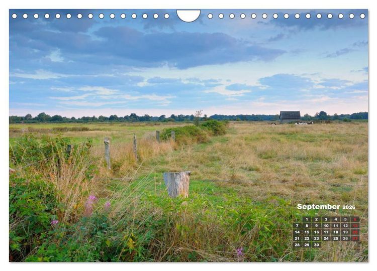 Produktbild: Die Dingdener Heide im Wandel der Jahreszeiten (Wandkalender 2026 DIN A4 quer), CALVENDO Monatskalender