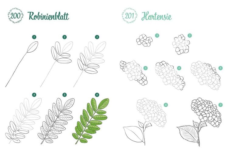 Produktbild: 300 Motive zeichnen &ndash; Botanik