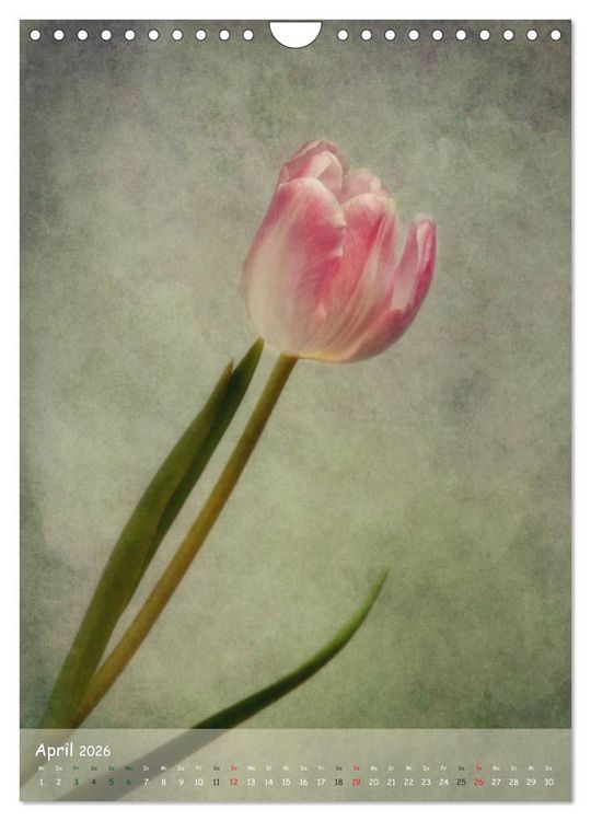 Produktbild: Blumengefl&uuml;ster (Wandkalender 2026 DIN A4 hoch), CALVENDO Monatskalender