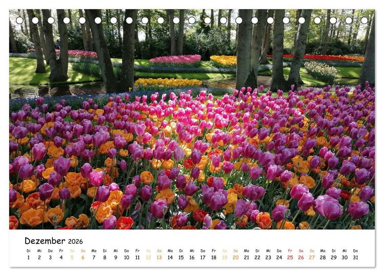 Produktbild: Auf Tour im Land der Tulpen (Tischkalender 2026 DIN A5 quer), CALVENDO Monatskalender