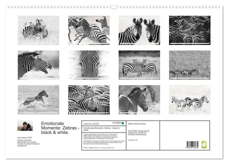 Produktbild: Emotionale Momente: Zebras - black & white. (Wandkalender 2026 DIN A2 quer), CALVENDO Monatskalender