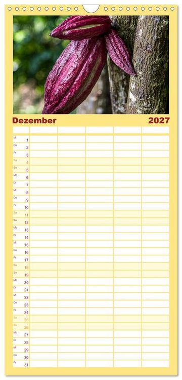 Produktbild: Familienplaner 2027 - Fr&uuml;chte der Karibik mit 5 Spalten (Wandkalender, 21 x 45 cm) CALVENDO