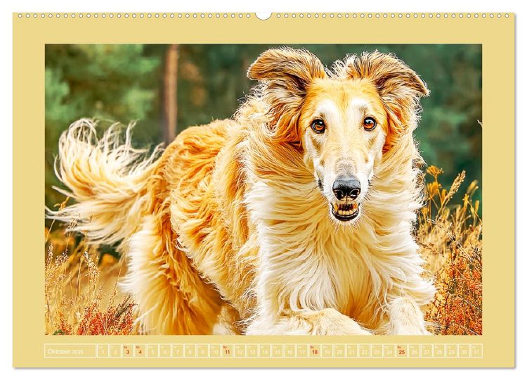 Produktbild: Windhunde. Seelenfl&uuml;sterer zwischen Anmut, Tempo und Stille (hochwertiger Premium Wandkalender 2026 DIN A2 quer), Kunstdruck in Hochglanz