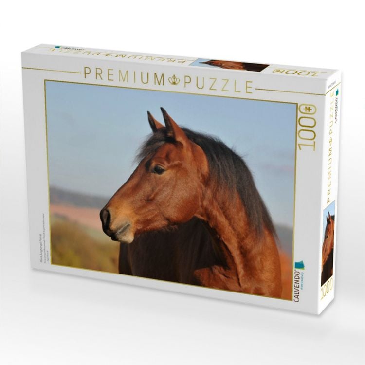 Produktbild: CALVENDO Puzzle Pferd Junghengst Portr&auml;t | 1000 Teile Lege-Gr&ouml;&szlig;e 64x48cm Foto-Puzzle f&uuml;r gl&uuml;ckliche Stunden