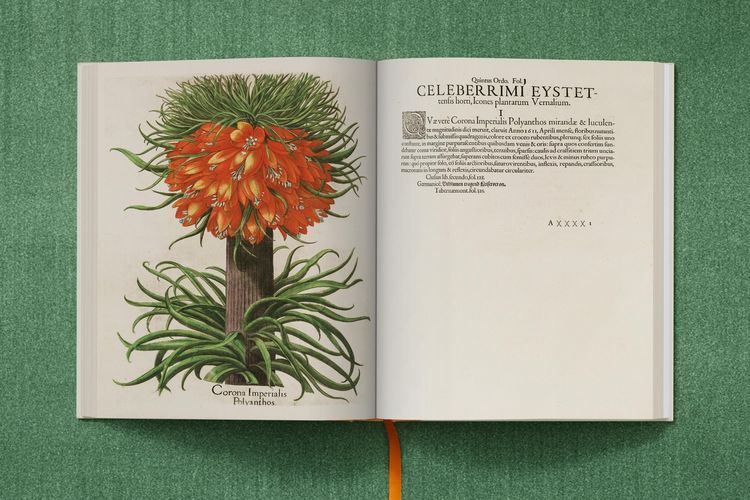 Produktbild: Basilius Besler. The Garden at Eichst&auml;tt