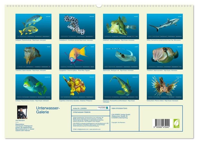 Produktbild: Unterwasser-Galerie (hochwertiger Premium Wandkalender 2027 DIN A2 quer), Kunstdruck in Hochglanz