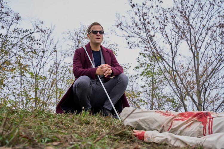 Produktbild: Blind ermittelt: Tod an der Donau (Folge 9)