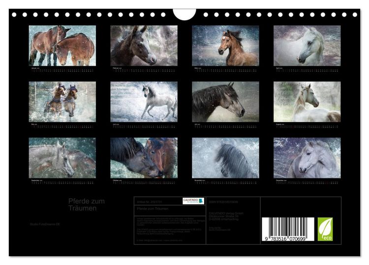 Produktbild: Pferde zum Tr&auml;umen (Wandkalender 2026 DIN A4 quer), CALVENDO Monatskalender