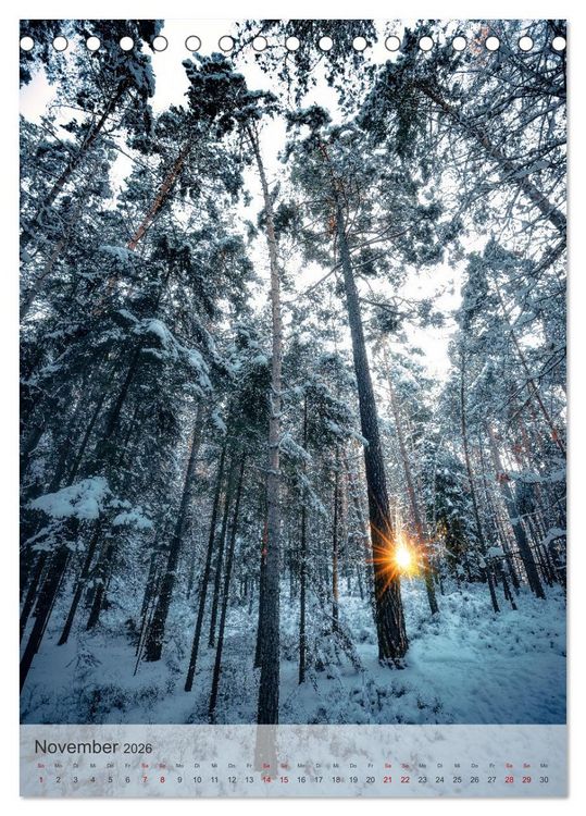 Produktbild: Winter Spaziergang (Tischkalender 2026 DIN A5 hoch), CALVENDO Monatskalender