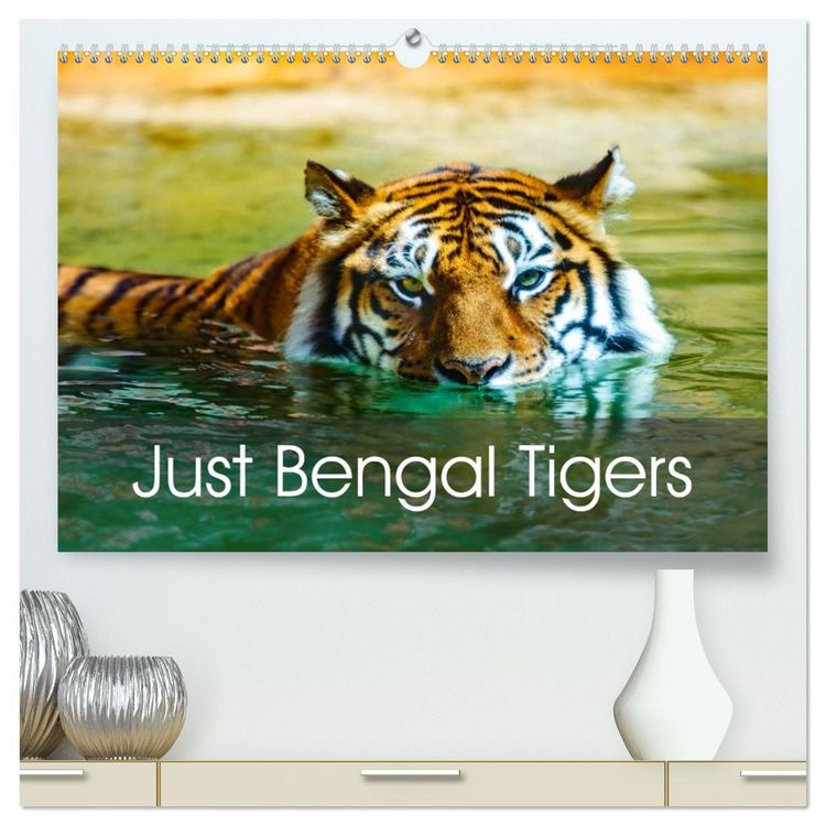 Produktbild: Just Bengal Tigers (High Quality Premium Wall Calendar 2026 DIN A2 landscape),CALVENDO 12 Month Wall Calendar