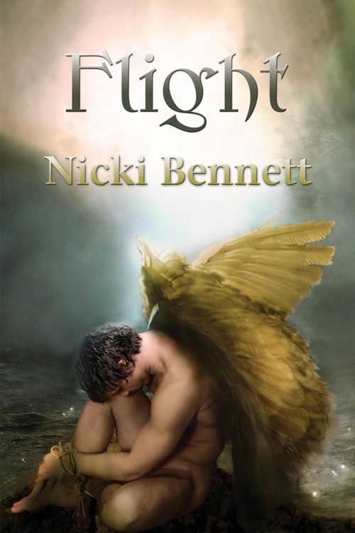 Produktbild: Flight
