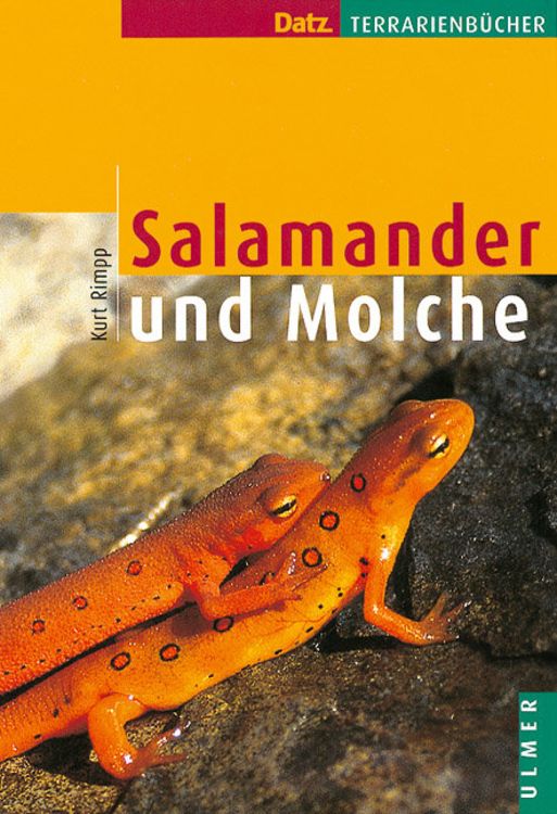 Bild vom Artikel Salamander und Molche vom Autor Kurt Rimpp