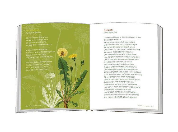 Produktbild: Mein Blumengl&uuml;ck