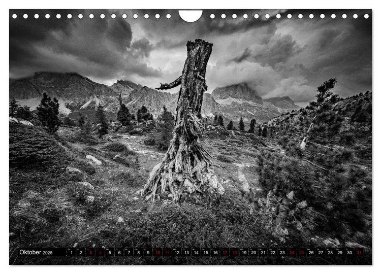 Produktbild: Dramatik in SW (Wandkalender 2026 DIN A4 quer), CALVENDO Monatskalender