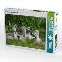 Produktbild: CALVENDO Puzzle irgendetwas liegt in der Luft | 1000 Teile Lege-Gr&ouml;&szlig;e 64x48cm Foto-Puzzle f&uuml;r gl&uuml;ckliche Stunden