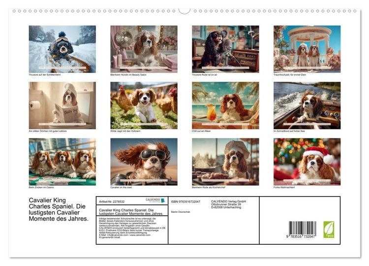 Produktbild: Cavalier King Charles Spaniel. Die lustigsten Cavalier Momente des Jahres. (hochwertiger Premium Wandkalender 2026 DIN A2 quer), Kunstdruck in Hochglanz