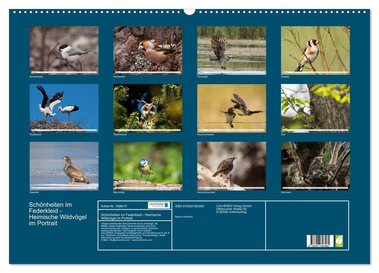 Produktbild: Sch&ouml;nheiten im Federkleid - Heimische Wildv&ouml;gel im Portrait (Wandkalender 2026 DIN A2 quer), CALVENDO Monatskalender