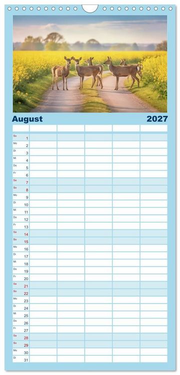 Produktbild: Familienplaner 2027 - Zwischen den Feldern mit 5 Spalten (Wandkalender, 21 x 45 cm) CALVENDO