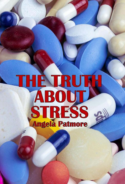 Produktbild: The Truth About Stress