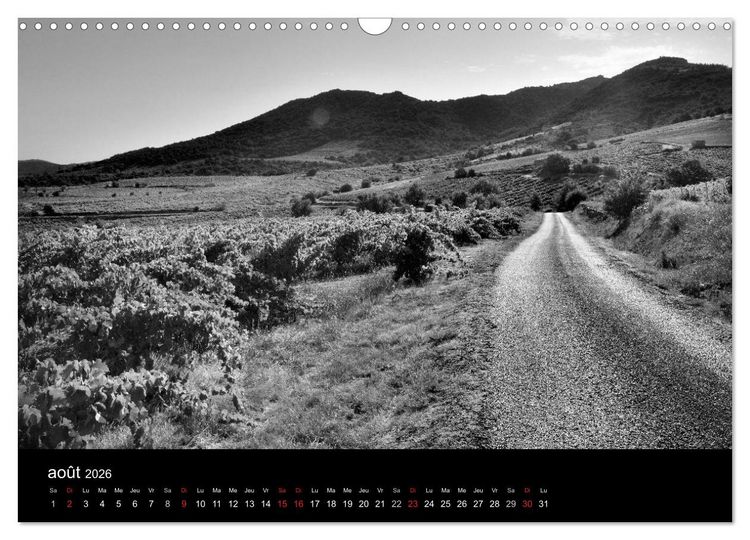 Produktbild: VIGNES DU SUD terroirs d'AOC (Calendrier mural 2026 DIN A3 vertical), CALVENDO calendrier mensuel
