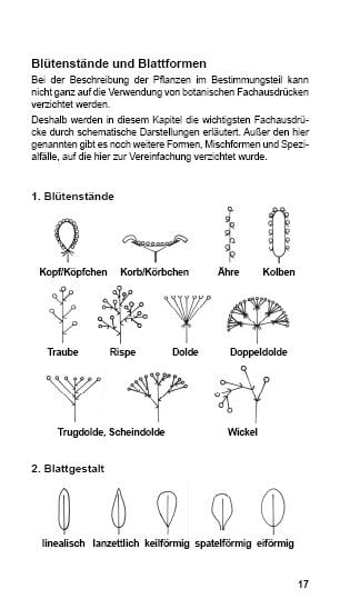 Produktbild: Landschildkr&ouml;ten-Futterpflanzen