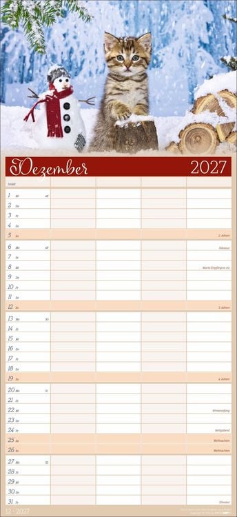 Produktbild: Cool Cats Familienplaner 2027