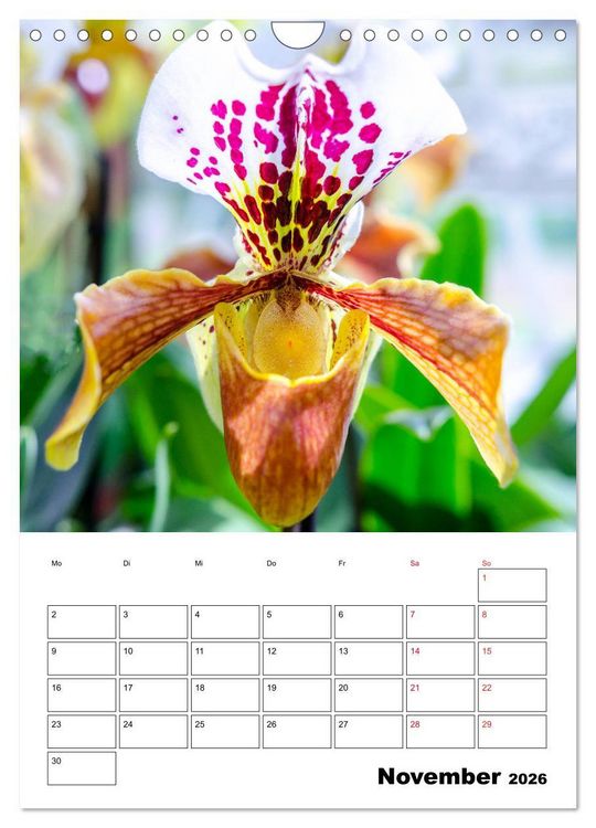 Produktbild: Orchideen - Tropische Sch&ouml;nheiten (Wandkalender 2026 DIN A4 hoch), CALVENDO Monatskalender