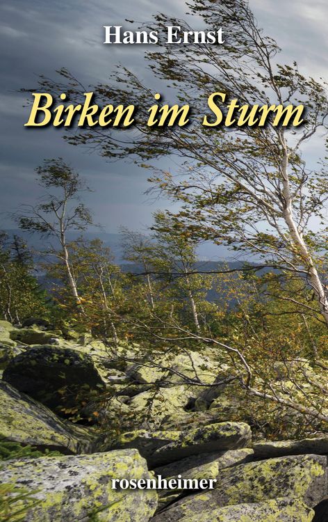 Produktbild: Birken im Sturm