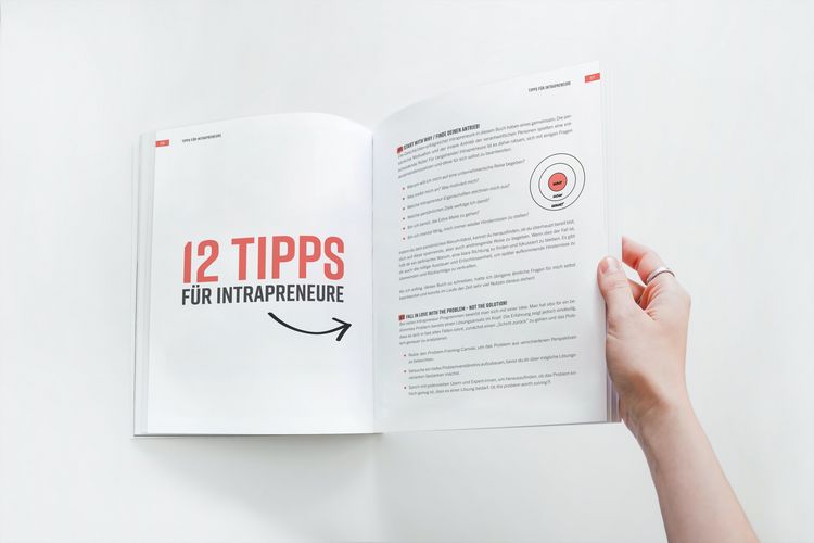 Produktbild: Intrapreneur Stories